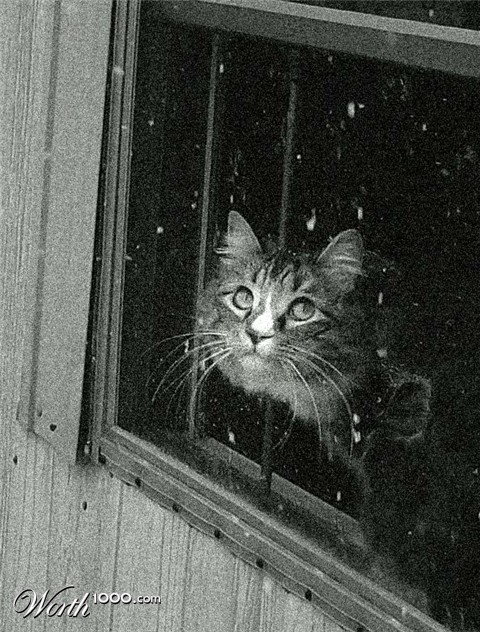 Photography by emily4real