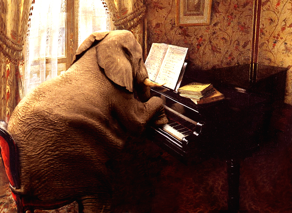 Photoshop Design by Koosricardo for DesignCrowd (Community Contests) | Design #9001587