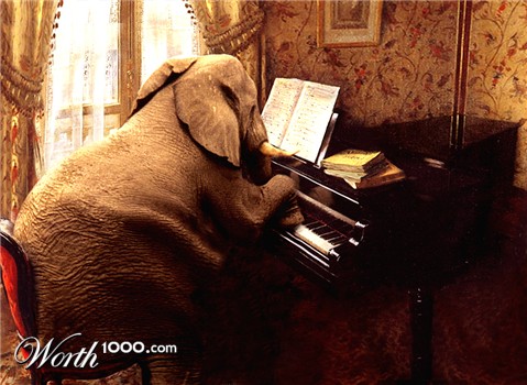 Photoshop Design by Koosricardo