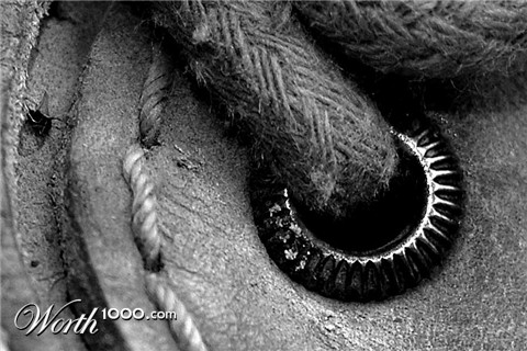 Photography by Pepito7