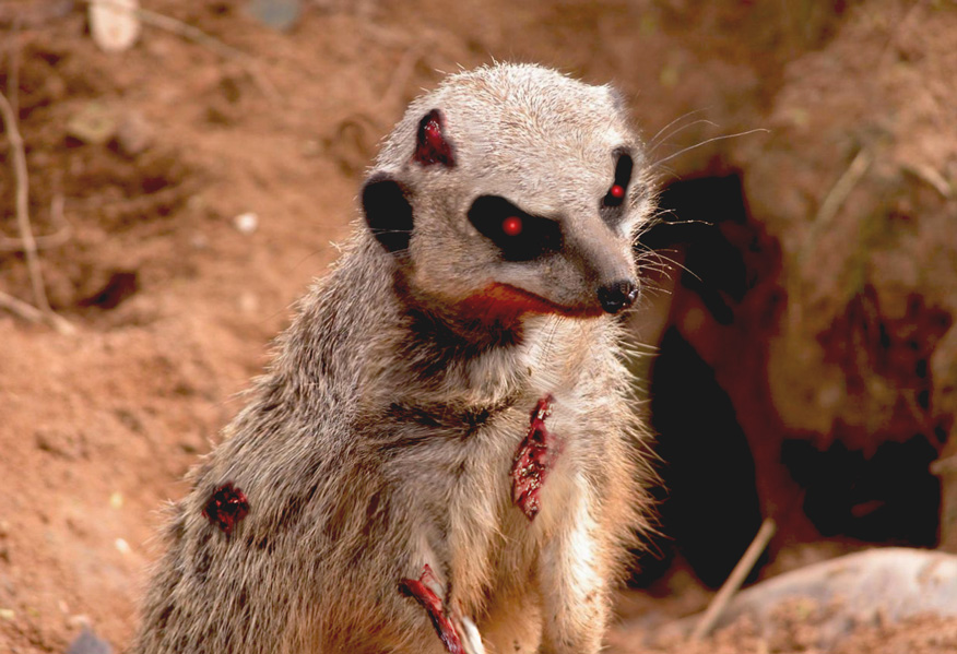 Photoshop Design by argosaries for DesignCrowd (Community Contests) | Design #9001272