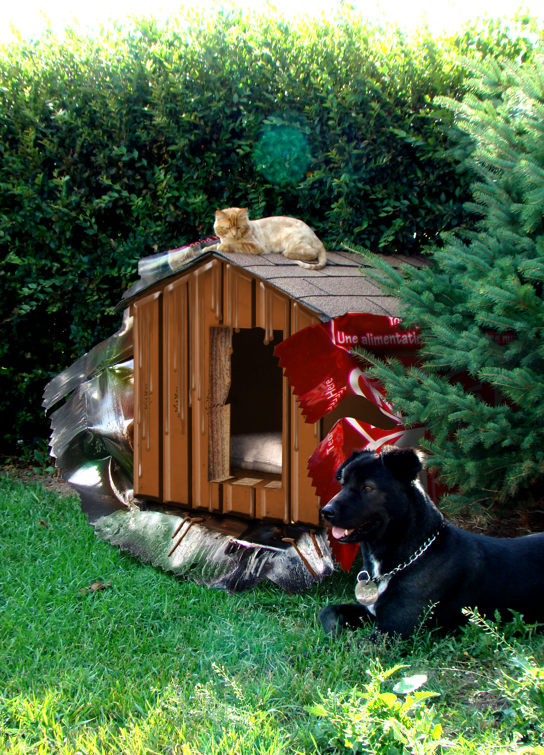 Photoshop Design by SuFfrnFrmR3ality for DesignCrowd (Community Contests) | Design #9002455