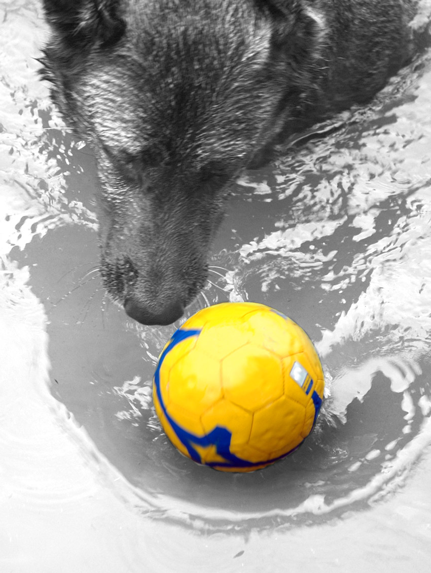 Photography by gormax for DesignCrowd (Community Contests) | Design #9006731