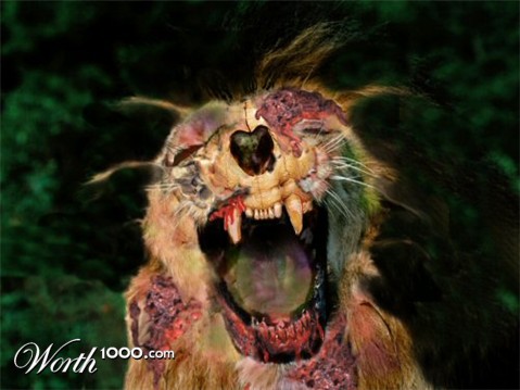 Photoshop Design by JazzedUp