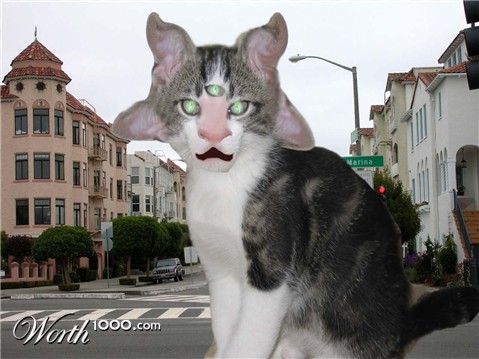 Photoshop Design by tjcronmil