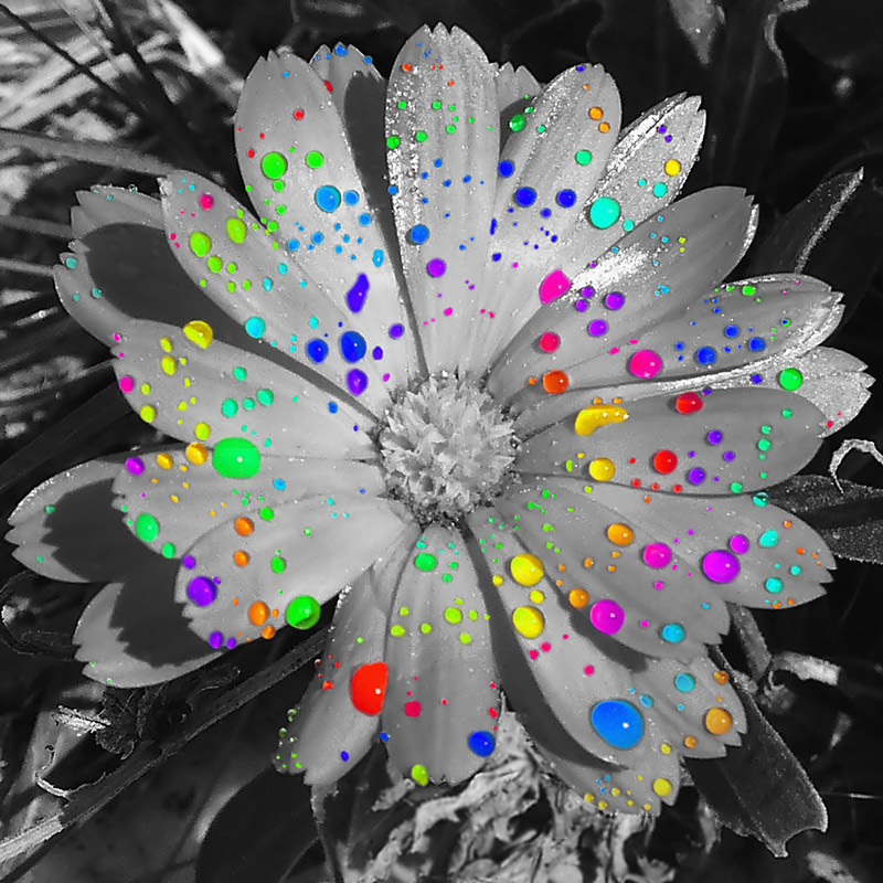 Fotografía por IsleofJura para DesignCrowd (Community Contests) | Diseño #9006659