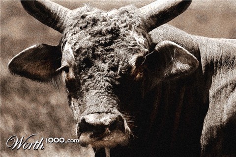 Photography by Viciousvixievenus