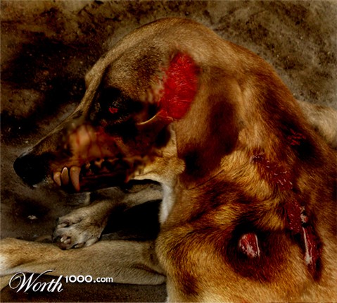 Photoshop Design by joeri1990