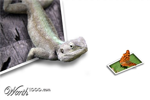 Photoshop Design by AliiXX