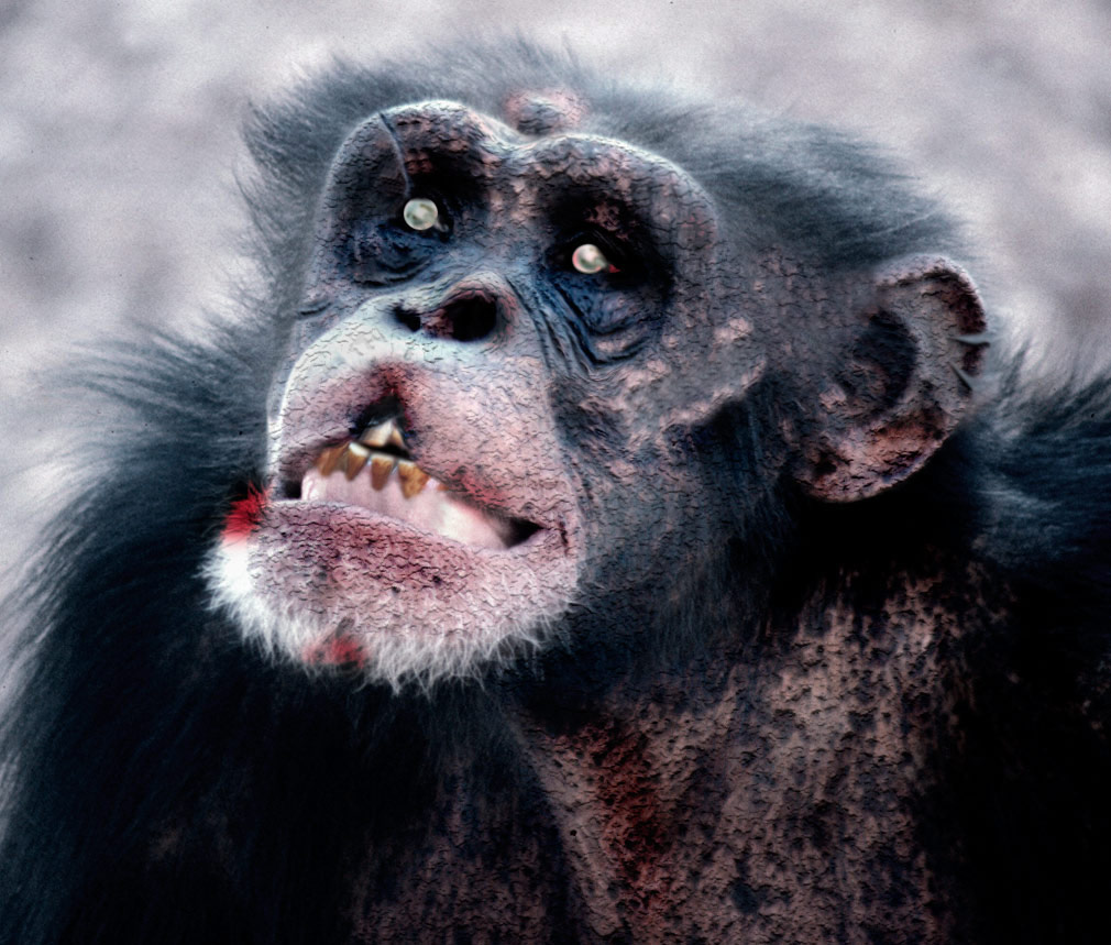 Photoshop-Design von SuperPimp für DesignCrowd (Community Contests) | Design #9001307