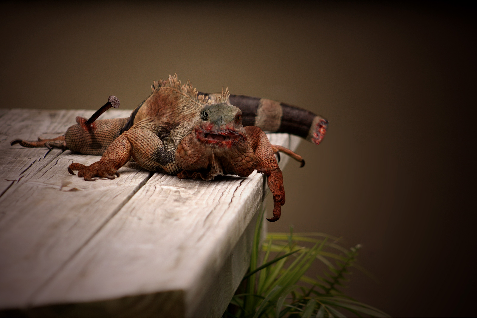 Photoshop Design by MOSCHAMENSCH for DesignCrowd (Community Contests) | Design #9001303