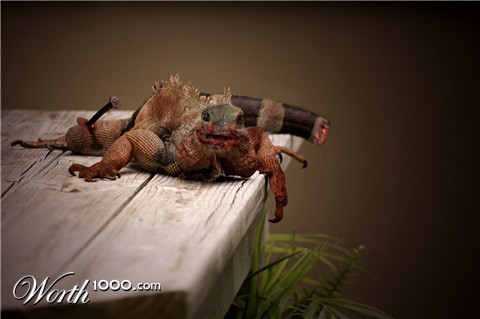 Photoshop Design by MOSCHAMENSCH