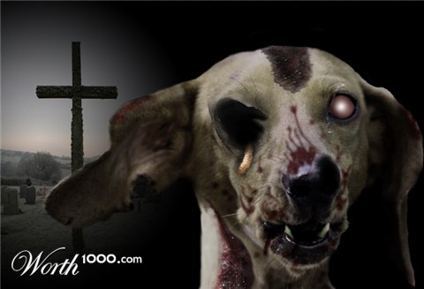 Photoshop Design by Qofcheez