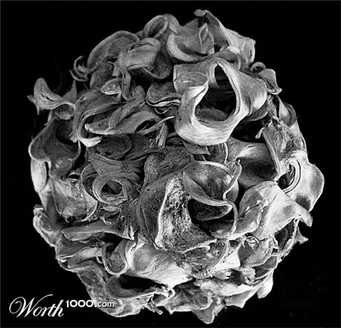 Photography by metafizzixx