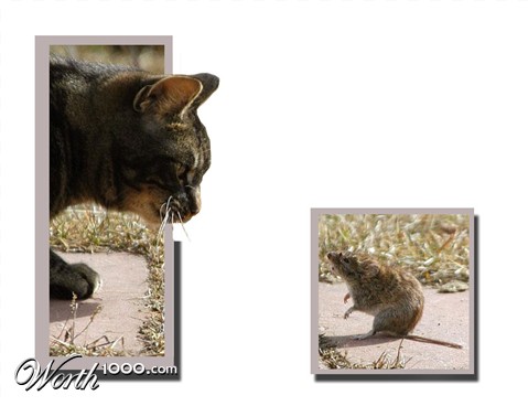 Photoshop Design by MasterDice