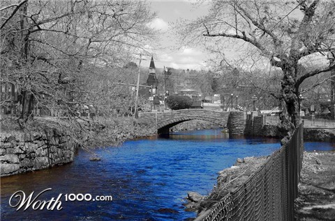 Photography by dwood58