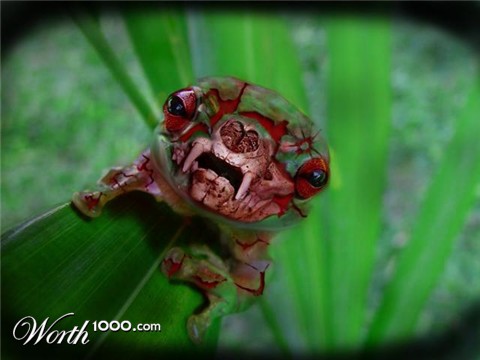 Photoshop Design by wink818