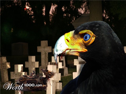 Photoshop Design by mibj2000