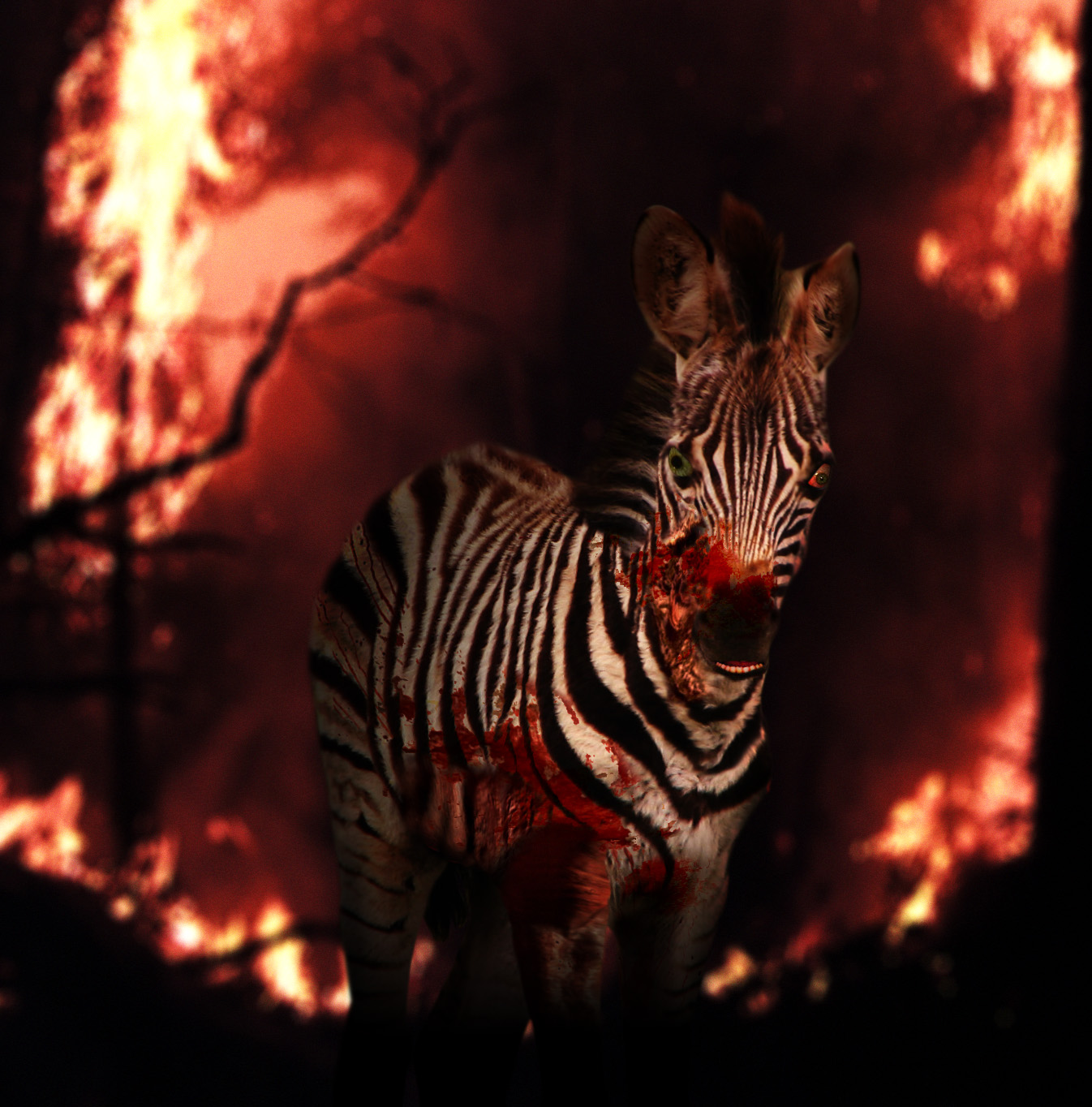 Photoshop Design by maxberggren for DesignCrowd (Community Contests) | Design #9001355