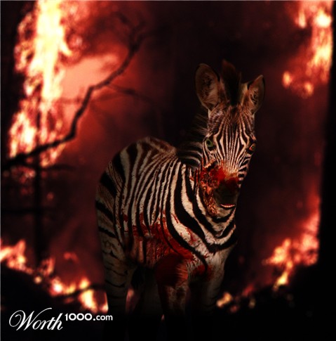 Photoshop Design by maxberggren