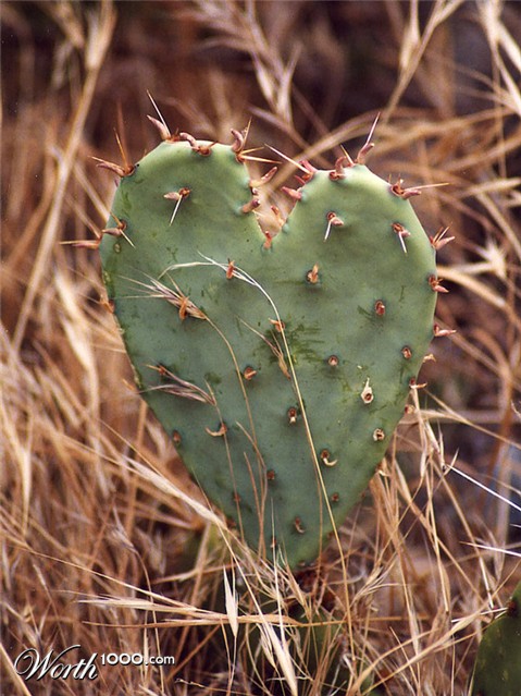 Photography by georgethedog