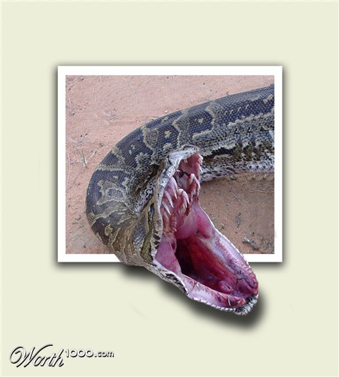 Photoshop Design by underworth