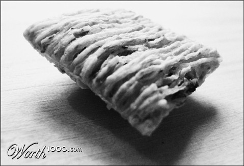 Photography by am3trin3