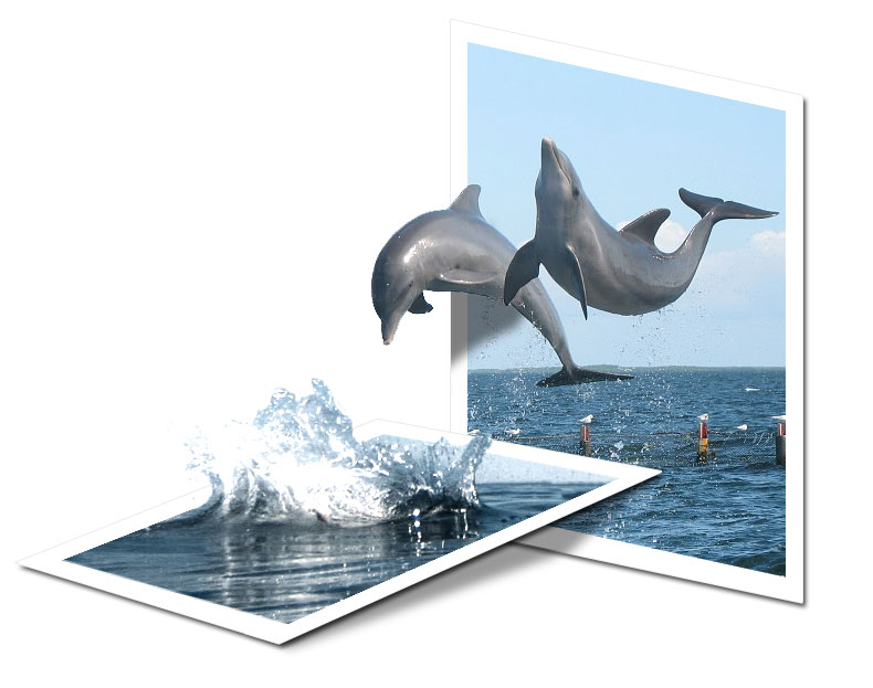 Photoshop Design by benbacardi for DesignCrowd (Community Contests) | Design #9001067