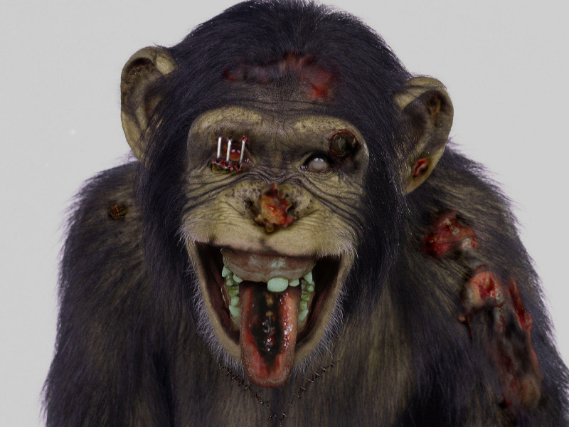 Diseño de Photoshop por boris200 para DesignCrowd (Community Contests) | Diseño #9001388