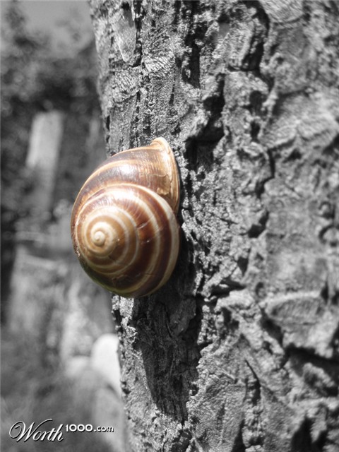 Photography by ignago