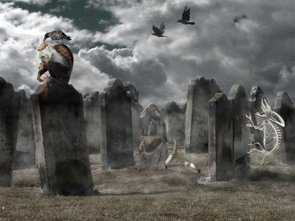 Photoshop Design by two375 for DesignCrowd (Community Contests) | Design #9001385