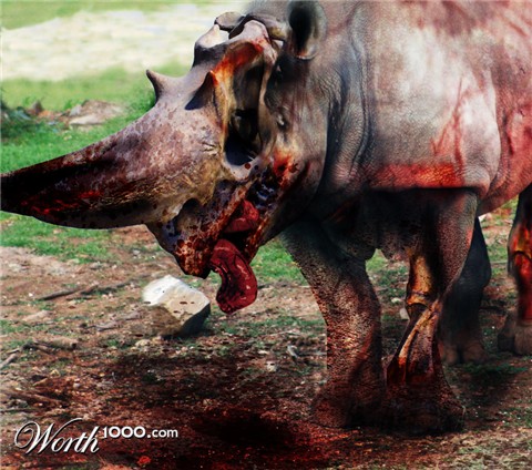 Photoshop Design by bacarrat