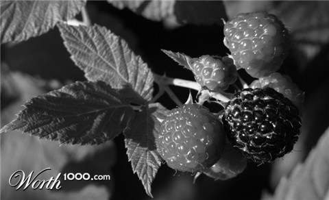 Photography by rdchdwck