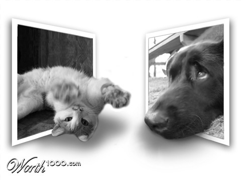 Photoshop Design by dogbys