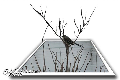 Photoshop Design by wanderc8