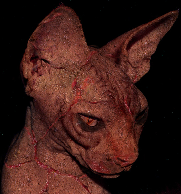 Photoshop Design by Wicked79 for DesignCrowd (Community Contests) | Design #9001391