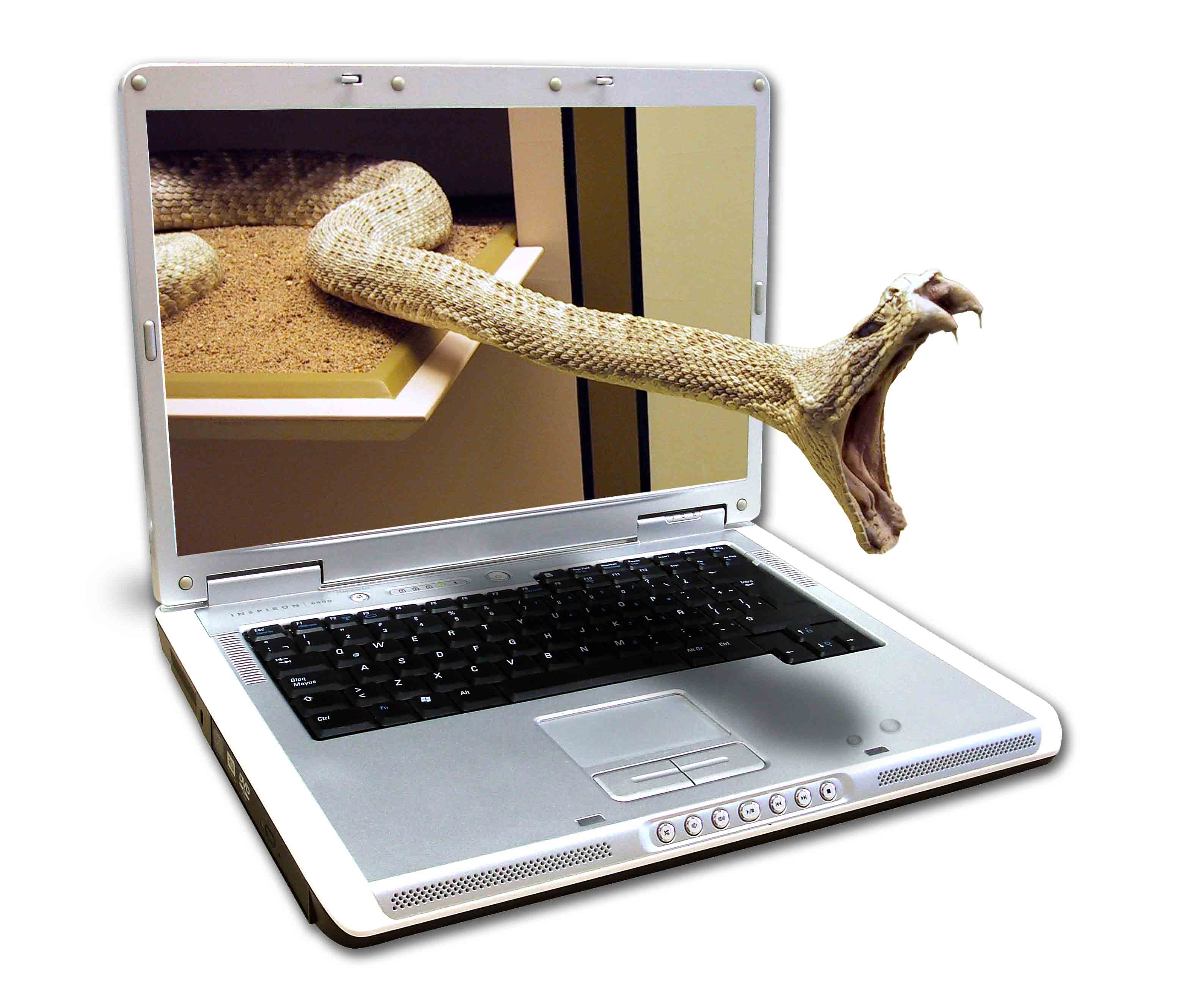 Photoshop Design by Monkeysniffer08 for DesignCrowd (Community Contests) | Design #9001118