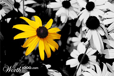 Photography by stepherbeans