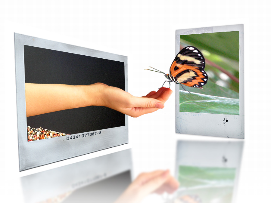 Photoshop Design by cleanandfall for DesignCrowd (Community Contests) | Design #9001115