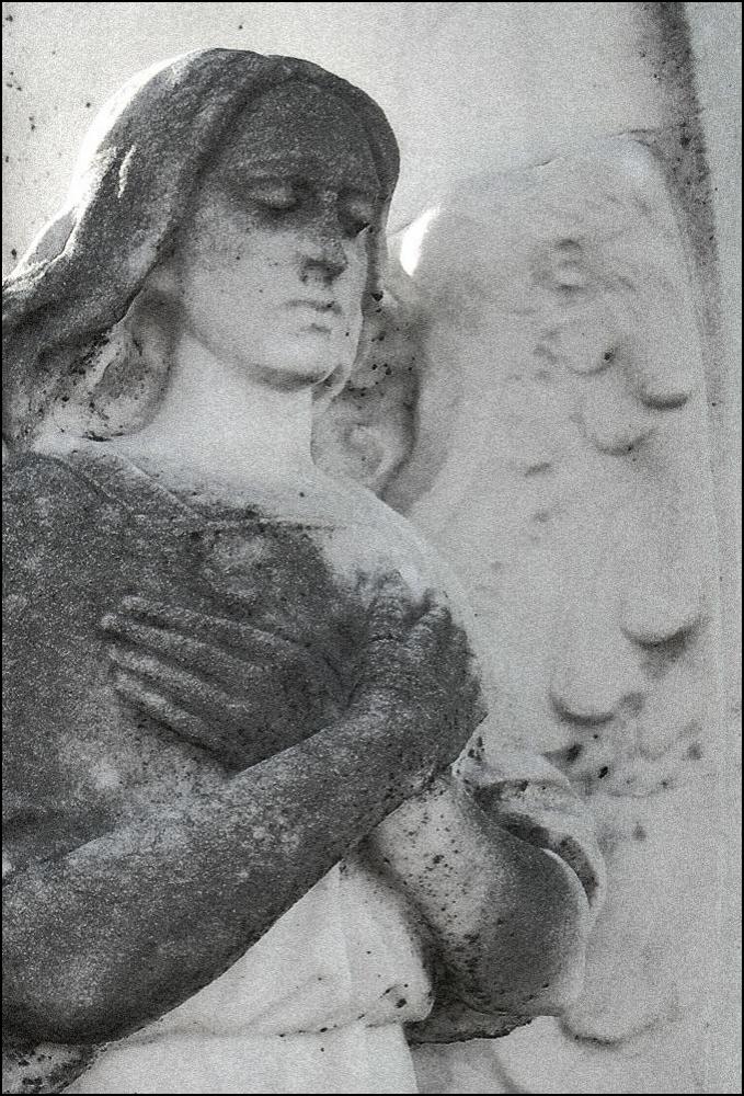 Photography by Isabella2006 for DesignCrowd (Community Contests) | Design #9043659