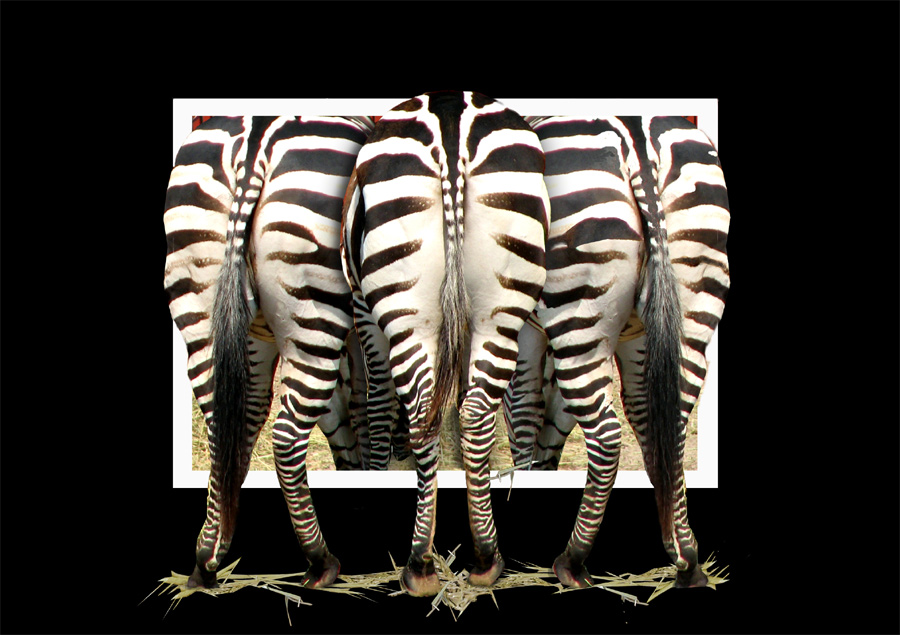 Photoshop Design by Redstar for DesignCrowd (Community Contests) | Design #9001009