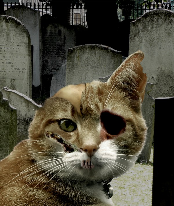 Design Photoshop par jesuisfaer pour DesignCrowd (Community Contests) | Design #9001394