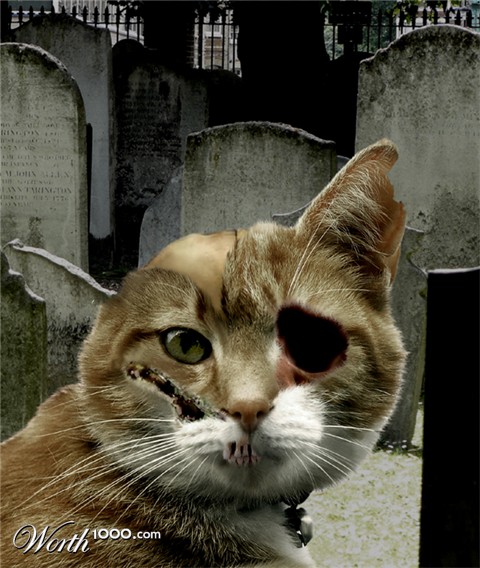 Photoshop Design by jesuisfaer