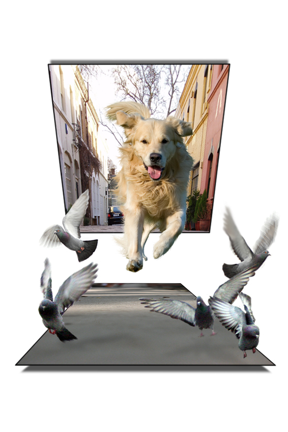 Photoshop Design by melian1224 for DesignCrowd (Community Contests) | Design #9001082