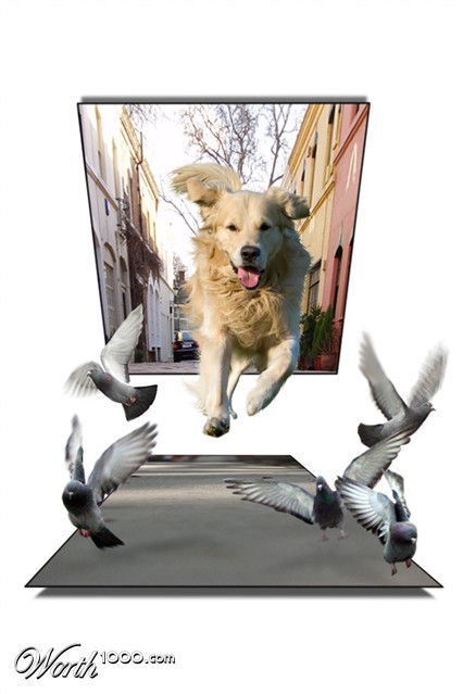Photoshop Design by melian1224