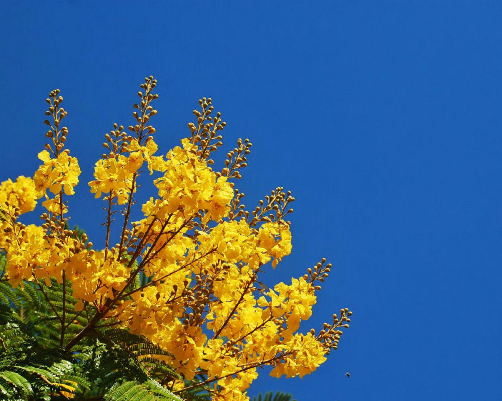 Photography by NatashaP for DesignCrowd (Community Contests) | Design #8999534