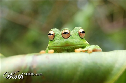 Photoshop Design by KingofSnake