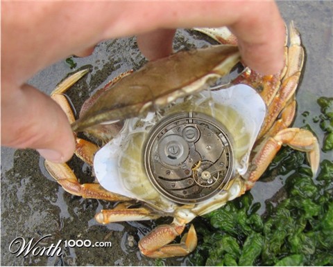 Photoshop Design by Fishwife