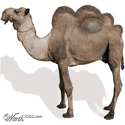 Photoshop Design by blackarrow7