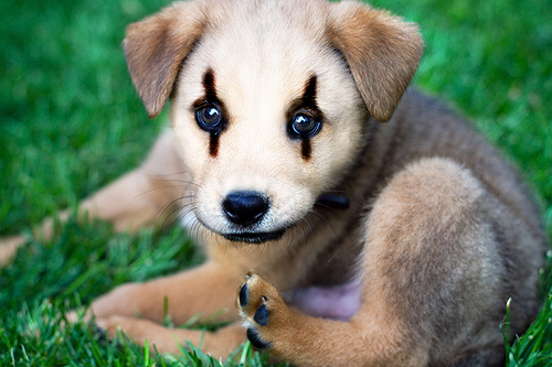 Photoshop Design by Rafreaky for DesignCrowd (Community Contests) | Design #9000394